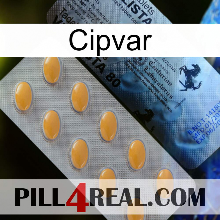 Cipvar 44